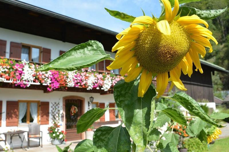 Hotel Haus Jagerer Ramsau bei Berchtesgaden Zewnętrze zdjęcie